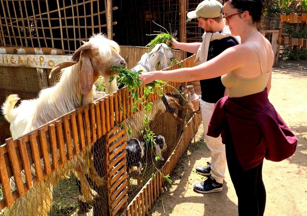 Il Campo Boutique Ecolodge El Hawamdeya Екстериор снимка